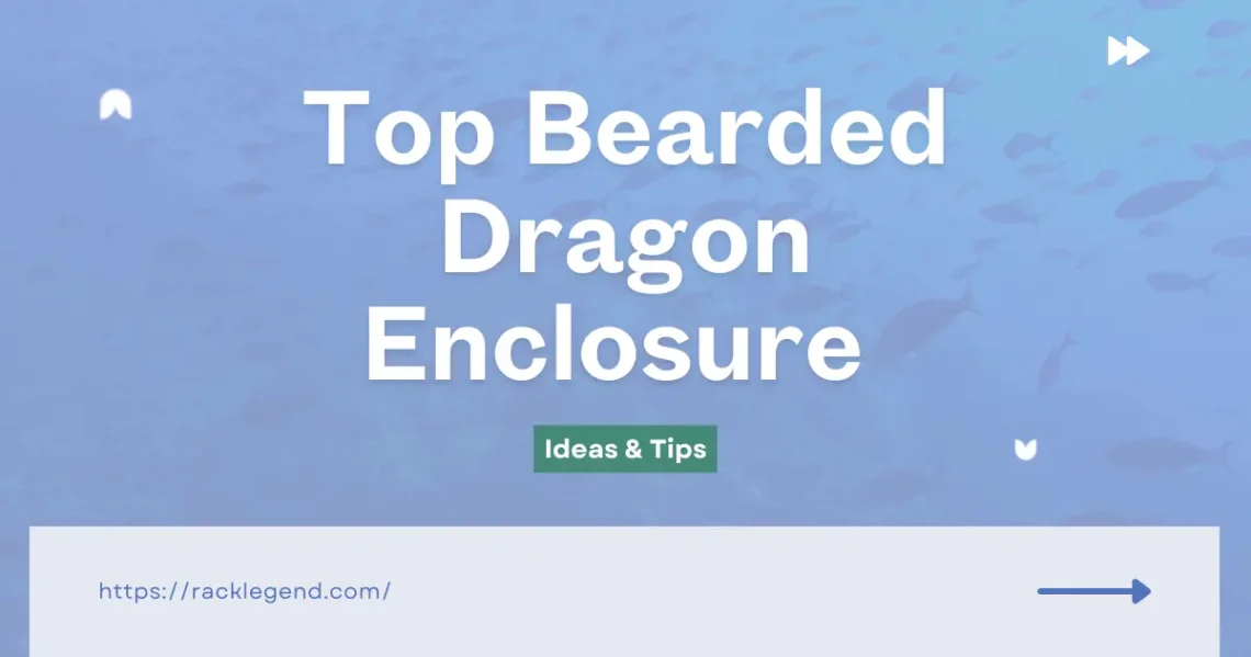 bearded dragon enclosure