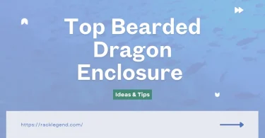 bearded dragon enclosure